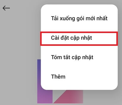 Menu cài đặt cập nhật hệ thống