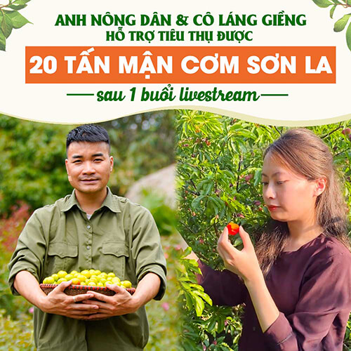 Anh Nông Dân tiêu thụ mận Sơn La