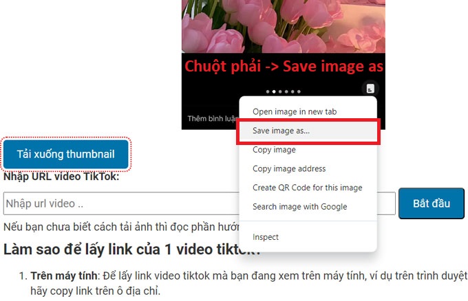 Cách tải ảnh thumbnail toktok